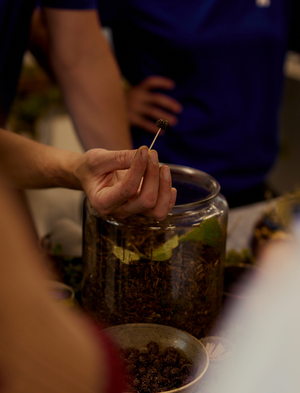 Tasting mit Noma Projects und Noma Kaffee – Malmö 18.9.