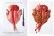 Fish Butchery - Josh Niland